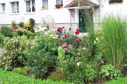 Einen Sonderpreis erhielten die Rabatten der Frau Schneidenbach.