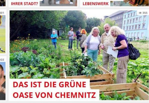 Der Gemeinschaftsgarten der „Gartenutopisten“ an der Ecke Peterstraße / Hainstraße erhielt den 2. Preis.
